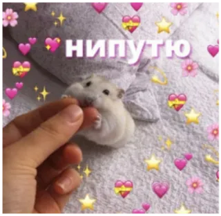 💖 НИПУТЮ хомяк, милый, сердечки, животное, мем telegram sticker
