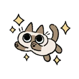 😺 gato, animal, fofo, gatinho, siamês telegram sticker