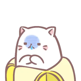 😨 mèo, buồn, khóc, hoạt hình, nhãn dán telegram sticker