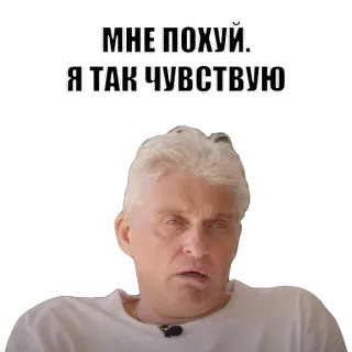 🙃 МНЕ ПОХУЙ. Я ТАК ЧУВСТВУЮ rusia, ekspresi, ketidakpedulian, meme telegram sticker