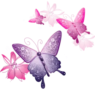 🦋 vlinder, roze, bloemen, natuur, insecten telegram sticker