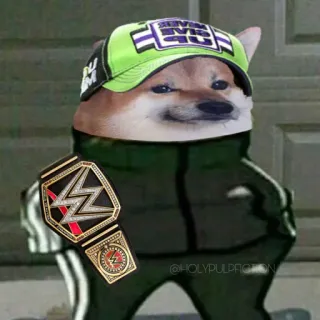 😐 Doge 강아지, 밈, WWE, 챔피언, 도지 telegram sticker