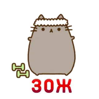 🏋 ЗОЖ фитнес, кот, упражнения, гантели, здоровый образ жизни, ЗОЖ whatsapp sticker