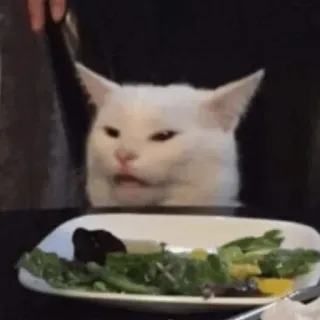 🤔 kat, meme, salade, grappig, walging, witte kat telegram sticker