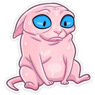 😅 Katze, Sphynx, traurig, Meme, lustig, süß, Tier telegram sticker