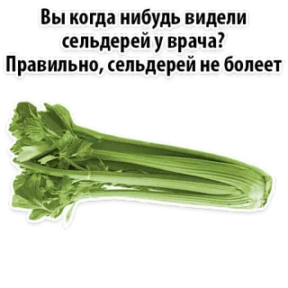 😉 Вы когда нибудь видели сельдерей у врача?
Правильно, сельдерей не болеет aipo, vegetal, saudável, comida, piada telegram sticker