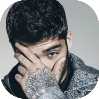 🤦 Zayn Malik zanger, beroemdheid, persoon, tattoo, portret telegram sticker