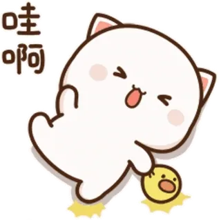 🥺 哇啊 고양이, 귀여운, 동물, 스티커, 카와이, 이모티콘 whatsapp sticker