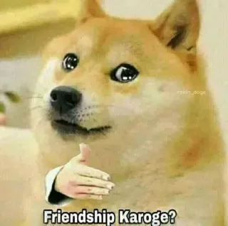 🤝 Doge Friendship Karoge? pies, mem, przyjaźń, uścisk dłoni, pytać, oferta whatsapp sticker