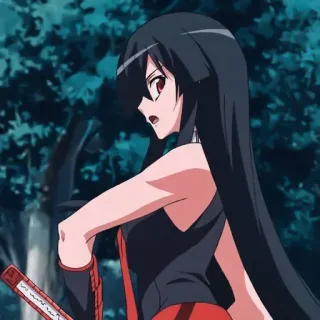 😠 Akame Akame ga Kill! Anime, Postać, Miecz, Katana, Długie włosy, Czerwone oczy, Akame ga Kill! telegram sticker