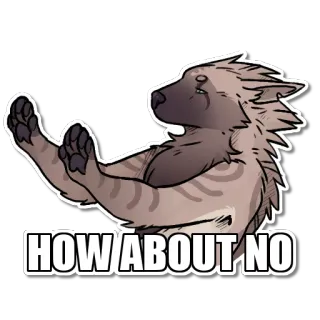 🛑 HOW ABOUT NO nie, odrzucenie, zwierzę, wyraz, śmieszne, mem whatsapp sticker