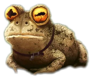 🐸 rana, rospo, animale, rettile, fauna selvatica whatsapp sticker