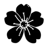 Sakura Flower @ADstickers telegram stickers