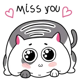 ❤️ MISS YOU แมว, คิดถึง, รัก, น่ารัก, สัตว์, เศร้า, ทักทาย telegram sticker