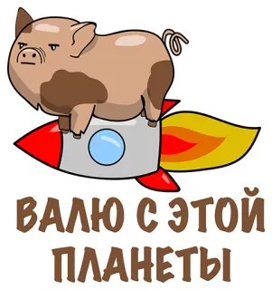 👍 ВАЛЮ С ЭТОЙ ПЛАНЕТЫ cerdo, cohete, dibujos animados, animal, volando, humor whatsapp sticker