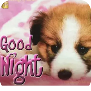 🥰 Good Night selamat malam, anjing, anak anjing, mengantuk, imut, binatang, hewan peliharaan telegram sticker