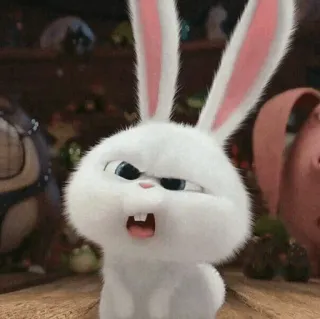 🍓 Snowball The Secret Life of Pets กระต่าย, บันนี่, สัตว์, สัตว์เลี้ยง, การ์ตูน, ตัวละคร, แอนิเมชั่น telegram sticker