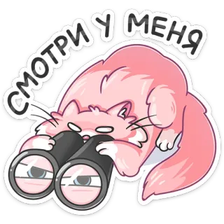 👀 СМОТРИ У МЕНЯ cat, binoculars, looking, animal, cute, pink, eyes telegram sticker