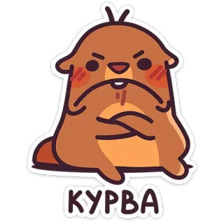 😒 КУРВА 비버, 만화, 불쾌한, 욕설, 화난 telegram sticker