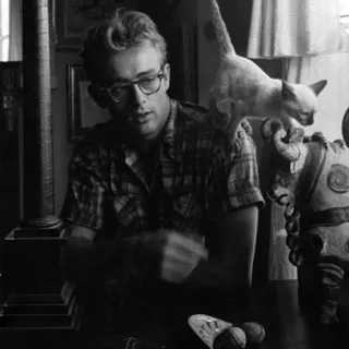 🌛 James Dean актёр, очки, кот, черно-белое, ретро, знаменитость telegram sticker