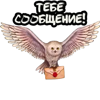 📨 ТЕБЕ
СООБЩЕНИЕ! フクロウ, メッセージ, メール, 手紙, 動物, 鳥 telegram sticker