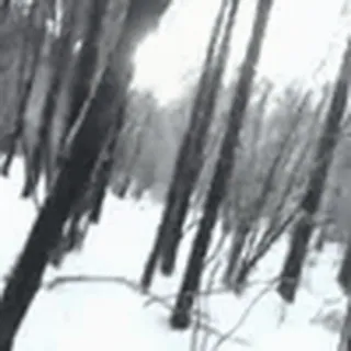 ❄️