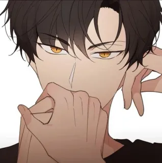 😗 Anime, Cartone animato, Personaggio, Uomo, Ritratto telegram sticker