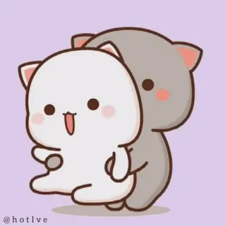 😂 @hotlve cat, love, cute, cartoon, animals telegram sticker