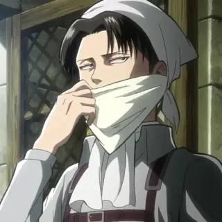 ⚔ Levi Ackerman Attack on Titan Anime, Manga, Kebersihan, Karakter, Levi, Attack on Titan, Fanart telegram sticker