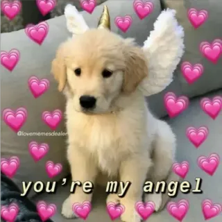 😀 you're my angel hond, puppy, engel, schattig, harten telegram sticker