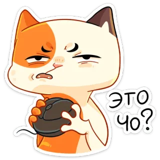 ❓ ЭТО ЧО? แมว, คำถาม, รัสเซีย, สติกเกอร์ telegram sticker