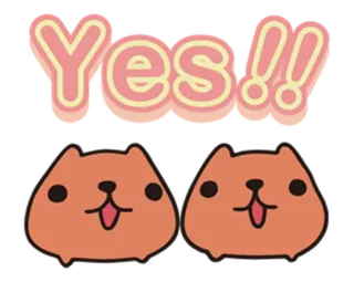 🤭 Yes!! fofo, gatos, feliz, animais, sim telegram sticker