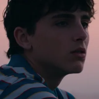 😐 Timothée Chalamet человек, актер, мужчина, портрет, знаменитость whatsapp sticker
