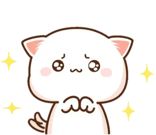 ✨ mèo, dễ thương, lấp lánh, van xin, kawaii telegram sticker