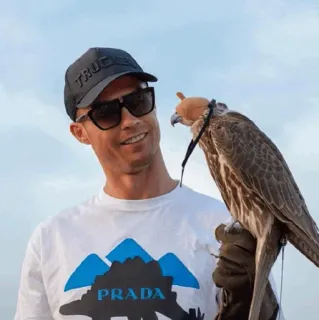 🖤 Cristiano Ronaldo 足球, soccer, 运动员, 克里斯蒂亚诺·罗纳尔多, 猎鹰 telegram sticker