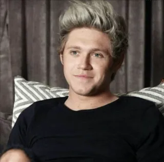 🌈 Niall Horan 유명인, 음악가, 가수, 원디렉션, 팝스타 telegram sticker