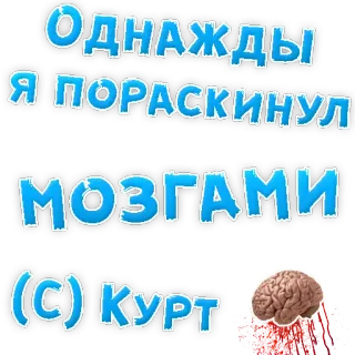 👌 Однажды я пораскинул мозгами
(С) Курт russian, brain, text, kurt, humor telegram sticker