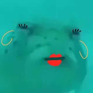 😌 лягушка, мультфильм, лицо, цифровое искусство, иллюстрация, милый telegram sticker