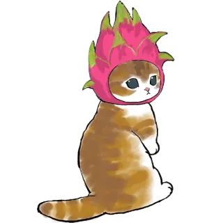 🐱 猫, 火龙果, 动物, 可爱, 宠物, 贴纸 telegram sticker