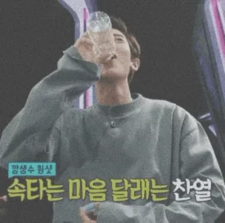 💿 짜생수 원샷
속타는 마음 달래는 찬열 korea, air, orang, minum, menunjukkan telegram sticker