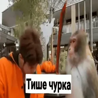 😡 Тише чурка offensive, racist, slur, monkey telegram sticker