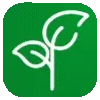 🌱
