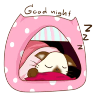 😴 Good night gatto, sonno, buonanotte, carino, animale, cartone animato whatsapp sticker