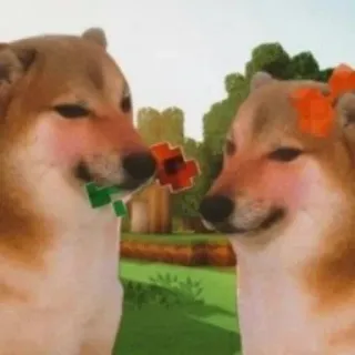 🐕 doge, dog, meme, love, flower telegram sticker