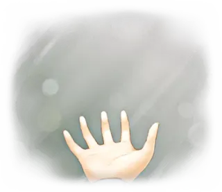 🤚 hand, fingers, palm, gesture telegram sticker