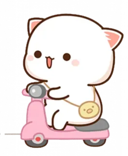 🛵 кот, самокат, милый, мультфильм, кавай, животное, розовый telegram sticker