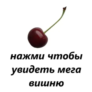 🍒 нажми чтобы увидеть мега вишню Kirsche, Text, Frucht, Klick, Mega telegram sticker