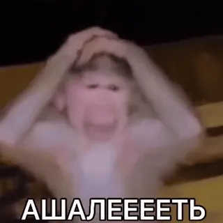😱 АШАЛЕЕЕЕТЬ monkey, shocked, russian, ape, animal telegram sticker