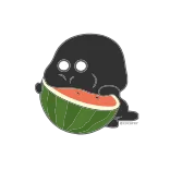 🍉 pastèque, fruit, nourriture, tâche noire, en train de manger whatsapp sticker