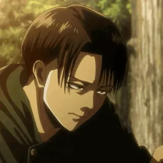 🔗 Levi Ackerman Attack on Titan Anime, Manga, Atak Tytanów, Levi, Levi Ackerman, Postać, Japońska animacja telegram sticker
